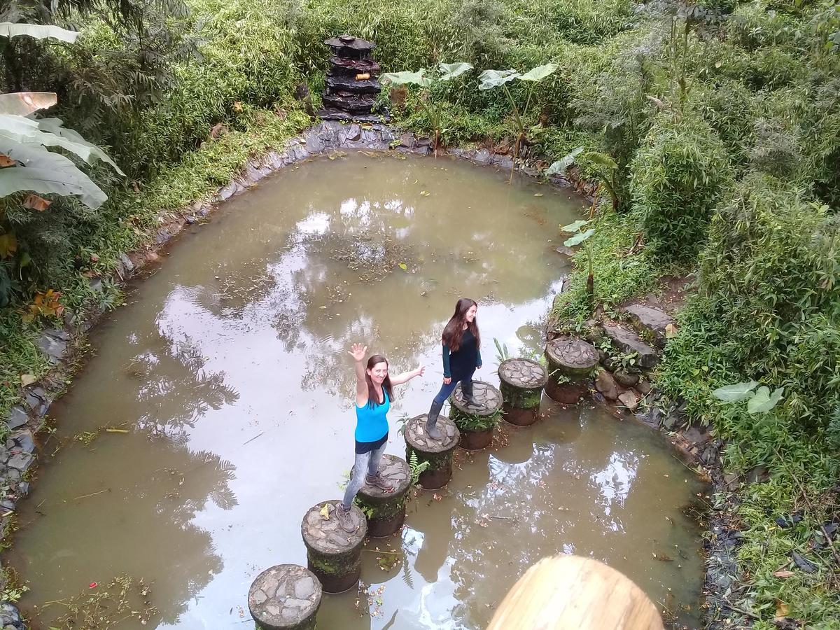 Hosteria La Roulotte - Mindo Esterno foto