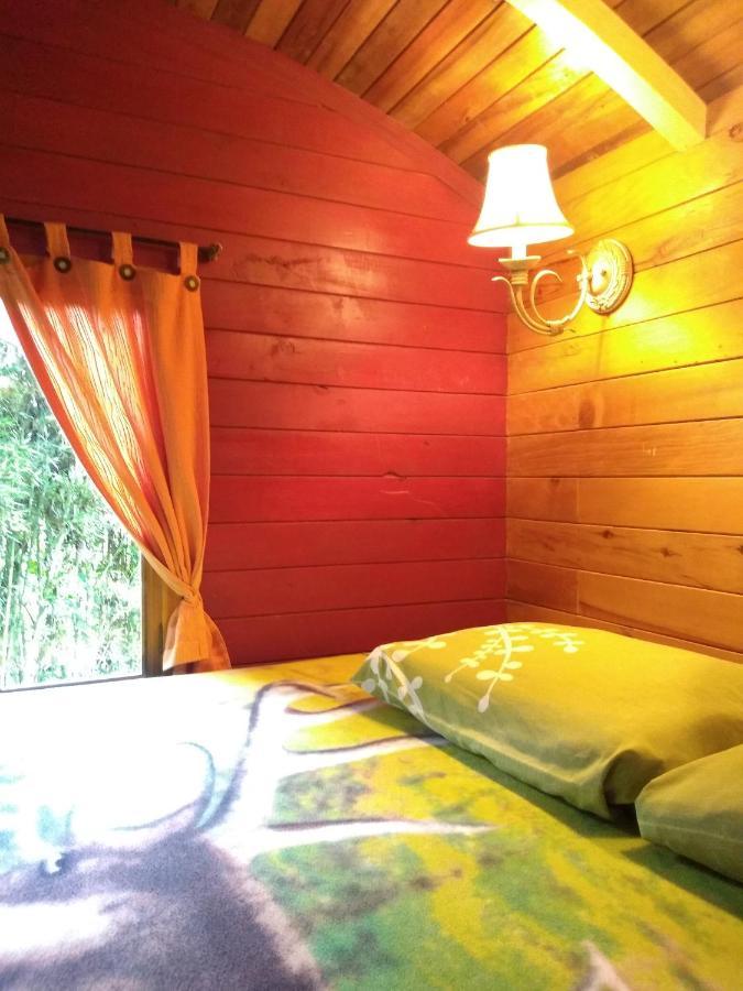 Hosteria La Roulotte - Mindo Esterno foto